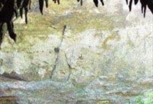 Camuy Caves and Arecibo Observatory